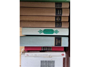 Abbildung: Werke von Zola