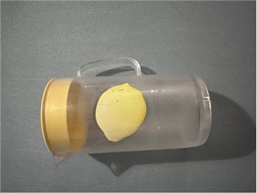 Abbildung: kunststoffkanne mit Deckel 