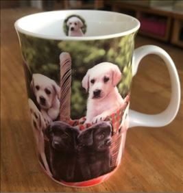 Abbildung: Süße Labrador-Retriever-Tasse, Welpen, Hunde-Babys