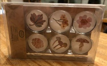 Abbildung: 6 hübsche Glas-Magnete mit herbstlichen Motiven NEU