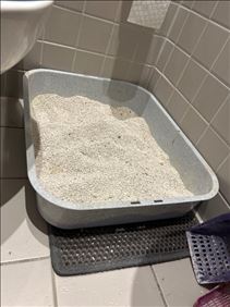 Abbildung: Zwei Katzentoiletten zu verschenken