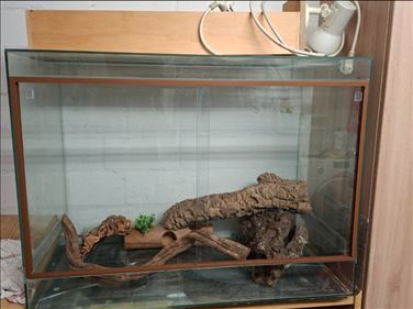 Abbildung: Terrarium