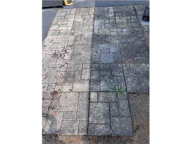 Abbildung: Gartenplatten zu verschenken